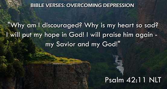 Psalm 42:11 NLT Psalm 42:11 NLT