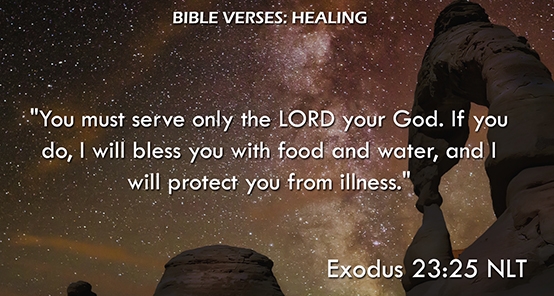 Exodus 23:25 NLT Exodus 23:25 NLT