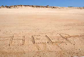 Dealing with an Emergency Situation in Therapy