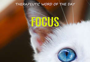 Therapeutic Word of the Day: Focus