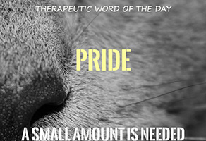 Therapeutic Word of the Day: Pride
